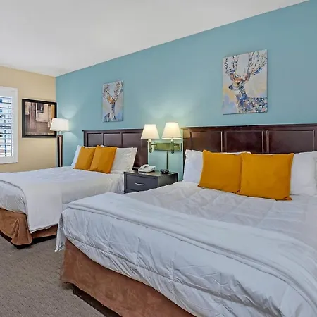 1Br Suite With Two Queen Beds - Near Disney - Pool And Hot Tub!-2